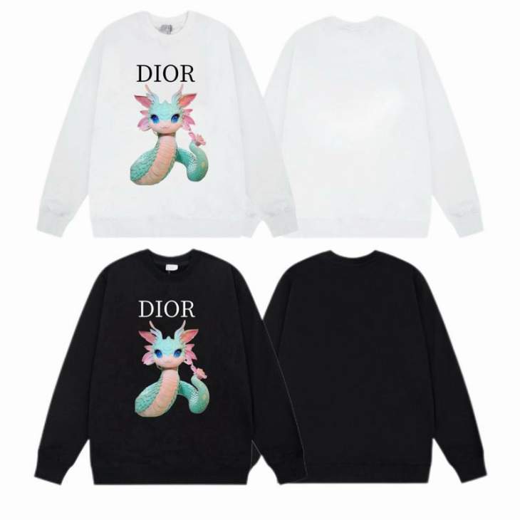 Picture of Dior Sweatshirt _SKUDiorXS-L55tx0731875